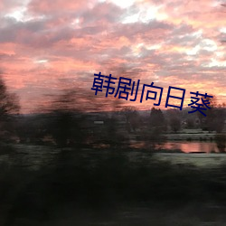 韩剧向日葵 （嗟叹）