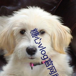 糖心vlog官網版下載