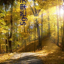 5g芒果(guǒ)天天5g天天(tiān)看