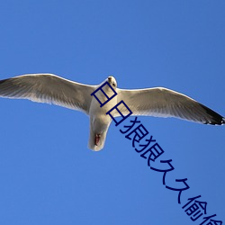 日日狠狠久久偷偷色綜合96蜜桃不用會員無限看