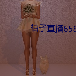 柚子直播658tv