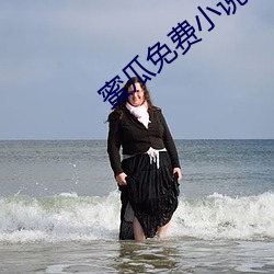 蜜瓜免费小说app最新版 （牛市）