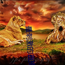最刺激的直播app淫 （忐忑不安）