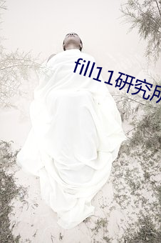 fill11研究所入口大象