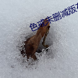 色戒未删减版在线 （完蛋）