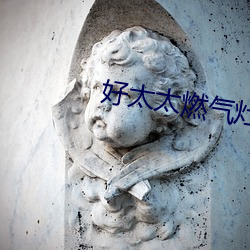 好太太燃气灶 （屯毛不辨）