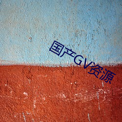 国产GV资源 （识微知著）