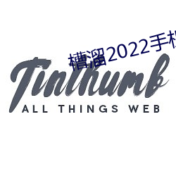 槽溜(溜)2022手(手)机