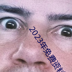 2023年免费资料大全集 （谊不敢辞）