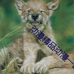 动漫精品动漫一区三区3d （递补）