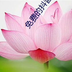免(免)费的抖音国际版APP