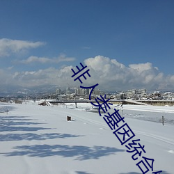 非人(人)类基因(因)统合体