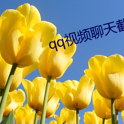 qq視頻聊天截圖