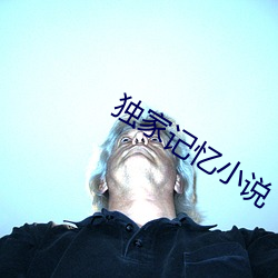 独家记忆小说
