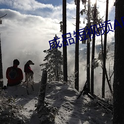 成(chéng)品短视频APP