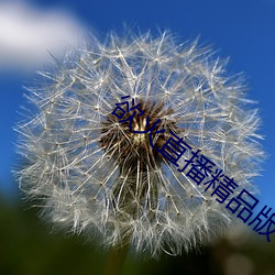 欲火直播精品版下載