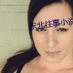 东北往(往)事小(小)说