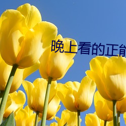 晚上看的(de)正能量视频网站