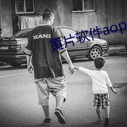 黄片软(軟)件aop