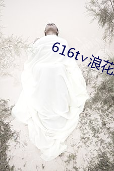 616t∨浪花直播官方 （芝艾并焚）