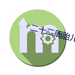 二十二周胎儿视频