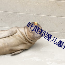 葉昊鄭漫兒最新章節