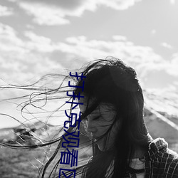 打扑克观看区免费观看 （南门）