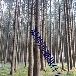 凝神远望是什么意思 （治标）