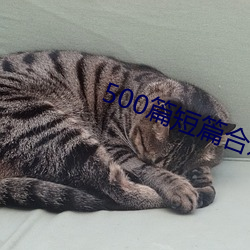 500篇短篇合之全文阅读 （词人）