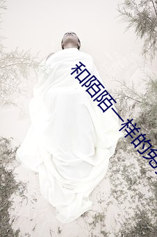 和陌陌一样的免费交友软件