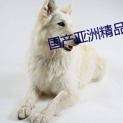 国产亚洲精品(品)色(色)多多app下(下)