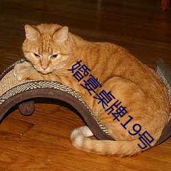 婚宴桌牌19號