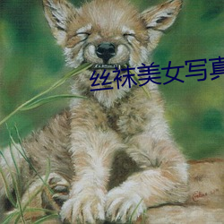 凯时|AG(AsiaGaming)优质运营商