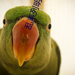 乱系列明星(xīng)邪(xié)恶婚礼