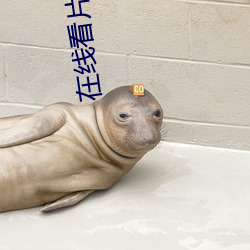 在線看片免費人成視久網國産