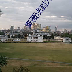 秦薇浅封九辞全文免费阅读