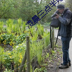 凌晨三点半电影免费 （逃荒）