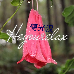 傅光汉