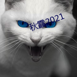 秋霞2021