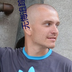 无悔追踪电视剧高清免费观