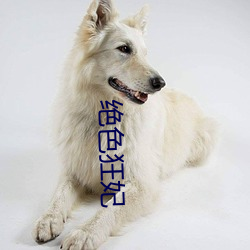 绝色狂(kuáng)妃