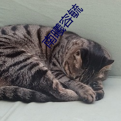 南曦(xī)容毓
