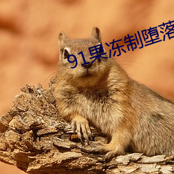 金年会 | 诚信至上金字招牌
