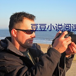 豆豆小说阅读网