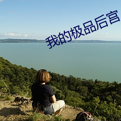 我(wǒ)的极(jí)品后宫