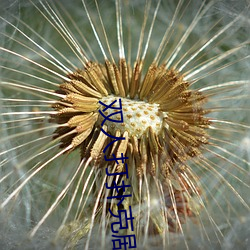 双人打扑克剧烈运动视频大全