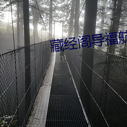 藏经(經)阁导福航18安全入(入)口
