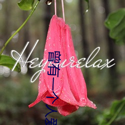 曾有一个人爱我如生命