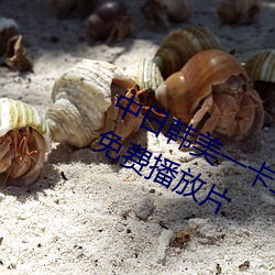 中日韩美一卡二卡三卡视(shì)频亚洲永久(jiǔ)免费播放片