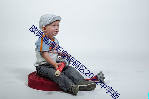 欧(歐)美高清无(無)专(專)砖码(碼)区2022中字版